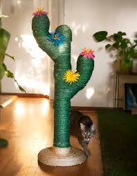 The best cat scratching post isn't hard to find when you know where to look! Saguaro Cactus Scratching Post For Cats Fairytale Slavery