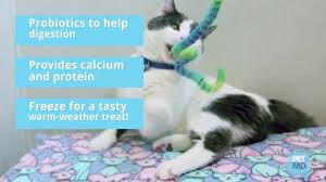Although cats can eat them, they offer very cats can eat watermelon! Which Fruits Can Dogs Eat Can Dogs Eat Strawberries Blueberries Watermelon Bananas And Other Fruits Petmd