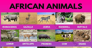 Click here for our species list of mammals, birds, and reptiles in the. Fuuqb398pou2fm