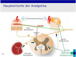 Nichtopioide Grundprinzip Der Medikamentosen Schmerztherapie Cox Hemmer Nsar Coxibe Metamizol Paracetamol R Sittl Pdf Free Download