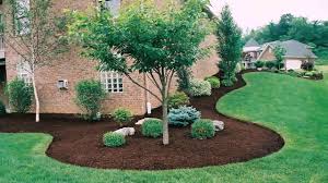 Easy to use · design software · complete landscapes · wide variety Landscape Design Evergreen Trees Youtube