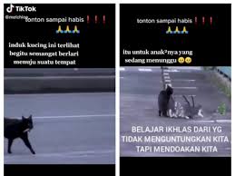 Viralnya cerita dino merah ini membuat banyak para pengguna. Icviw0rvodi Hm