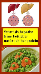 Steatosis Hepatis Eine Fettleber Naturlich Behandeln Njuskam Dog Food Recipes Food Food Animals
