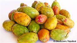 Primero tendrás que identificar el problema y brindarle los cuidados inmediatos apropiados. Deberia Comer El Fruto Del Cactus O Nopal Para Obtener Betalaina