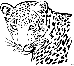 Leopard Kopf Malvorlage Coloring And Malvorlagan