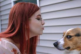 I promise, Sushi the corgi does love me. I swear, he really does!