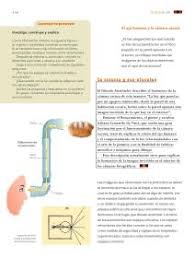 Pagina 34 del libro de matematicas 6 grado paco el chato es uno de los libros de ccc revisados aquí. Libro De Ciencias Naturales Sexto Grado 2020 Contestado