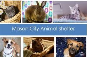 Full time residents, students or those just researching the area, to contact the department with questions about area law enforcement or public safety. Animal Control Mason City Ia