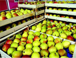 Control Of Ethylene In Fruits Vegetables Warehouses And