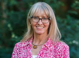 Introduction from the CEO