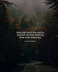 Pin By Sherish Khan Sherish On Quotes Choices Quotes Memories Quotes New Quotes