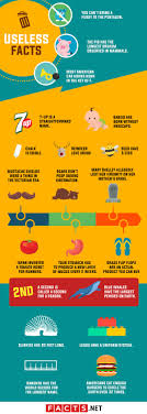 A few centuries ago, humans began to generate curiosity about the possibilities of what may exist outside the land they knew. 100 Useless Facts That Are Surprisingly True Facts Net