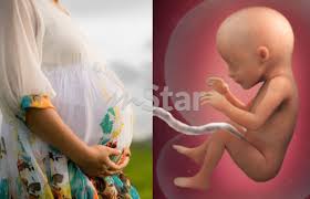 Pengambilan vitamin dan mineral antenatal memberikan jaminan untuk membantu dan memastikan kita dapat memenuhi keperluan nutrien tubuh secukupnya sejajar dengan keperluan bayi di dalam kandungan. Gangguan Emosi Ibu Hamil Jangan Ingat Bayi Dalam Kandungan Tak Terkena Tempiasnya Semasa Mstar