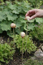Schoner Blickfang Fur Den Garten Saisonale Rezepte Gartentipps Kreative Ideen Idyllische Blumenbeet Garten Garten Ideen