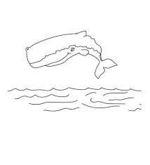 Kodiak bears are the largest bears in the world. 25 Free Whale Coloring Pages Printable