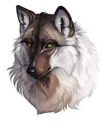 Check spelling or type a new query. Wolf Rpg Profile Of Prophecy