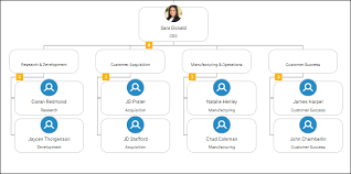 6 Org Chart Templates You Can Use To Create An Accurate Org