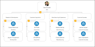 6 org chart templates you can use to create an accurate org