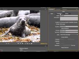 Adobe Encore Basics 8 Creating Slide Shows Part 2 Youtube