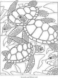 Skip a straw save a turtle coloring page. Freebie Sea Turtle Coloring Page Stamping