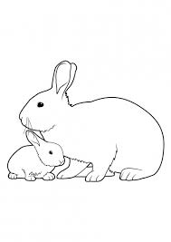 Les lapins sont de petites créatures mignonnes. 131 Dessins De Coloriage Lapin A Imprimer