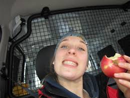 BUDADOGS: A Budadog- day-trip to the kennels that actually went smoothly:)