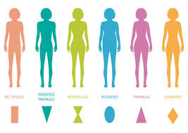 So what are these different body types? Female Body Types Photos Royalty Free Images Graphics Vectors Videos Adobe Stock