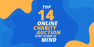No subscription we raised $10,000 even before the actual event. Top 14 Online Charity Auction Sites To Keep In Mind Snowball Fundraising