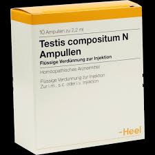 Testis Compositum N Amp