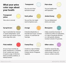 This Handy Infographic Shows What The Colour Of Your Pee
