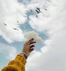 م صابه بــ م تلازمة ح ب الغيوم artsy photography pretty wallpapers tumblr casual summer outfits for women
