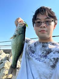 Branched Oak fishing results for flatheads and wipers