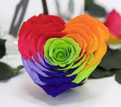 Alibaba.com offers 27,565 wholesale preserved flower products. Preserved Flowers Wholesale Buy Preserved Roses Fora Nature
