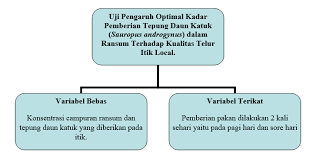 Sebelum sampai ke sana, perlu dipahami terlebih dahulu apa itu kerangka berpikir. Kerangka Konseptual Definisi Landasan Teori Dan Contohnya
