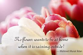 Read the first word again. following are the best girlfriend quotes and sayings with images. Giving Flowers Quotes Quotesgram