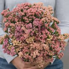 New york wedding dream wedding new york wineries wedding events wedding ideas wedding tables wedding fun wedding reception honeymoon romance. Pin On Annuals Perennials