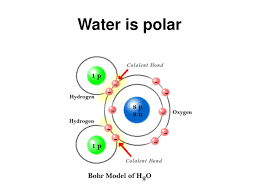 Maybe you would like to learn more about one of these? Ppt The Properties Of Water Powerpoint Presentation Free Download Id 269929