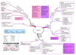 Bacteria Mind Map On Meducation Microbiology Study Pharmacology Nursing Medical Laboratory Science