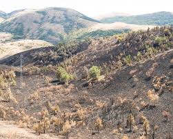 Incendi abruzzo, l'aquila sotto controllo da questa mattina. Cosa Resta Dopo Un Estate Di Incendi In Abruzzo Alessandro Chiappanuvoli Internazionale