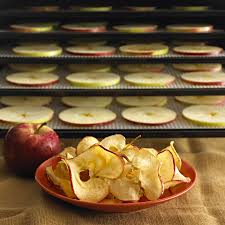 Chips De Pommes A La Cannelle Au Deshydrateur Chips De Pomme Recettes Nourriture Deshydratee Recettes De Cuisine