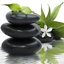 Tableau Toile Imprimee Zen Galets Noirs Et Bambous 70x70cm Jpg 768 768 Spa Zen Nature Plants