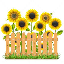 Maybe you would like to learn more about one of these? Vector Wooden Fence With Sunflowers Art Wall Kids School Wall Art Wooden Fence