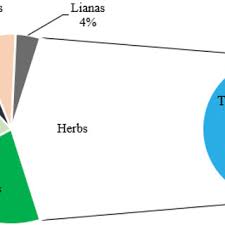 Image result for Kotschya prittwitzii