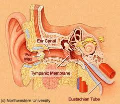 Ear Wax Management - Hearing Loss | Whisper Audiology