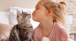 Wurmer Von Hund Und Katze Ein Risiko Fur Menschen