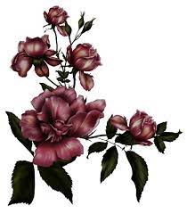 خلفيات ورد جميله ارق صور ورد 2018 gothic flowers gothic rose flower backgrounds