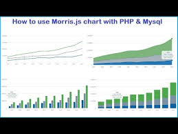 how to use morris js chart with php mysql