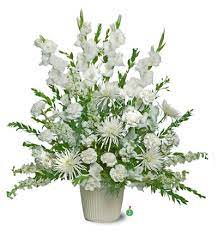 Maybe you would like to learn more about one of these? Pure Whites Available In Many Colors In San Antonio Tx Oak Hills Florist