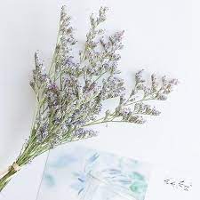 Home Decor Purple German Statice Bouquet Filler Bunch Of Etsy Dried Flowers Dried Lavender Flowers Flowers