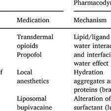 A concentration gradient is present when a. Pdf Water In The Human Body An Anesthesiologist S Perspective On The Connection Between Physicochemical Properties Of Water And Physiologic Relevance